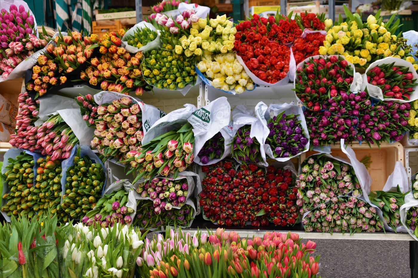 Elaboración de un ramo
